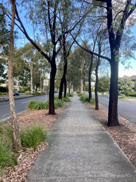 Shortlist revealed: Australian Urban Design Awards 2025 | ArchitectureAu