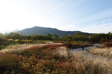Australian Landscape Conference 2020
