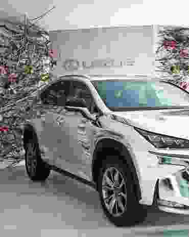 The entry to the marquee featured the new Lexus NX car and mounted stacks of branches and roses by Joost Bakker.