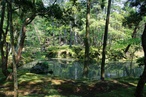 Saiho-ji Moss Garden