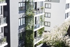 Landscape Architecture Award for Gardens