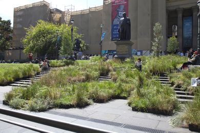 Grasslands installation at the State Library of Victoria.