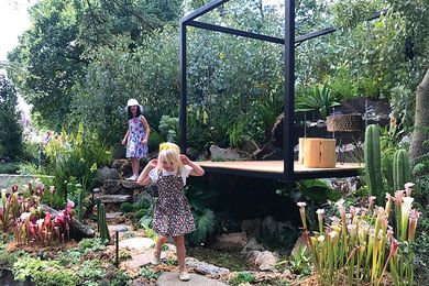 AKAS’s Anthropogenic Future Garden exhibited at the 2019 Melbourne International Flower and Garden Show.