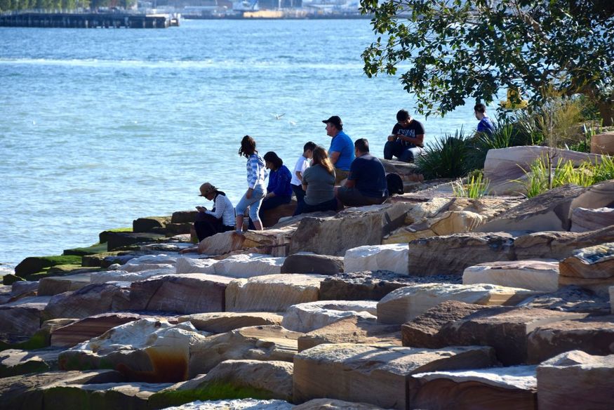 A naturalized landscape: Barangaroo Reserve | ArchitectureAu