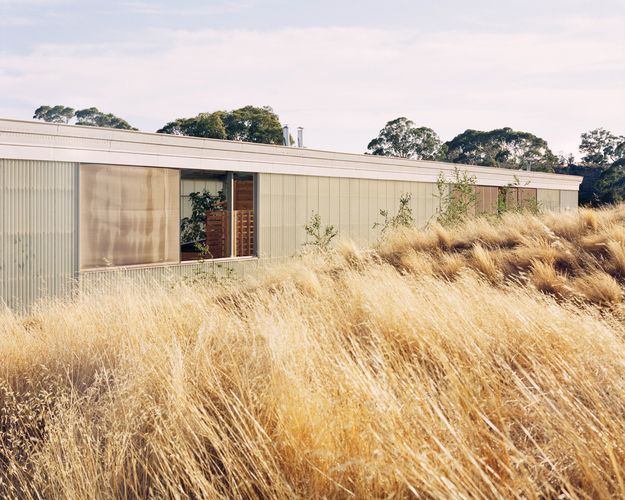 On the urbane and analogical lessons of Timothy Hill | ArchitectureAu
