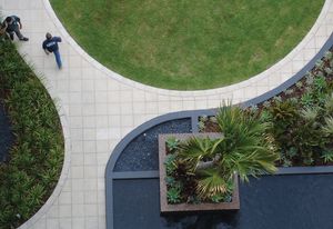 Part of the Monument residential site in Sydney, this garden serves as a bold geometric form
from above.
