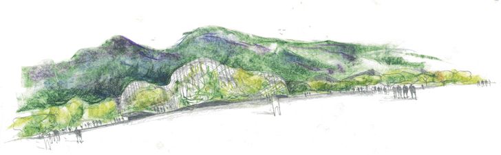 An early design sketch shows how The Cairns Institute would be enveloped by vines growing around the trellis, allowing the building to blend into the tropical landscape.