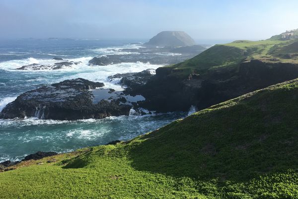 At the south-western tip of Phillip Island, the dramatic cliffs and cobblestone rocks of The Nobbies offer spectacular views over Bass Strait and are home to colonies of fur seals.