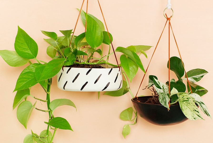 Black Stripes hanging pot (left) from Beneath the Sun