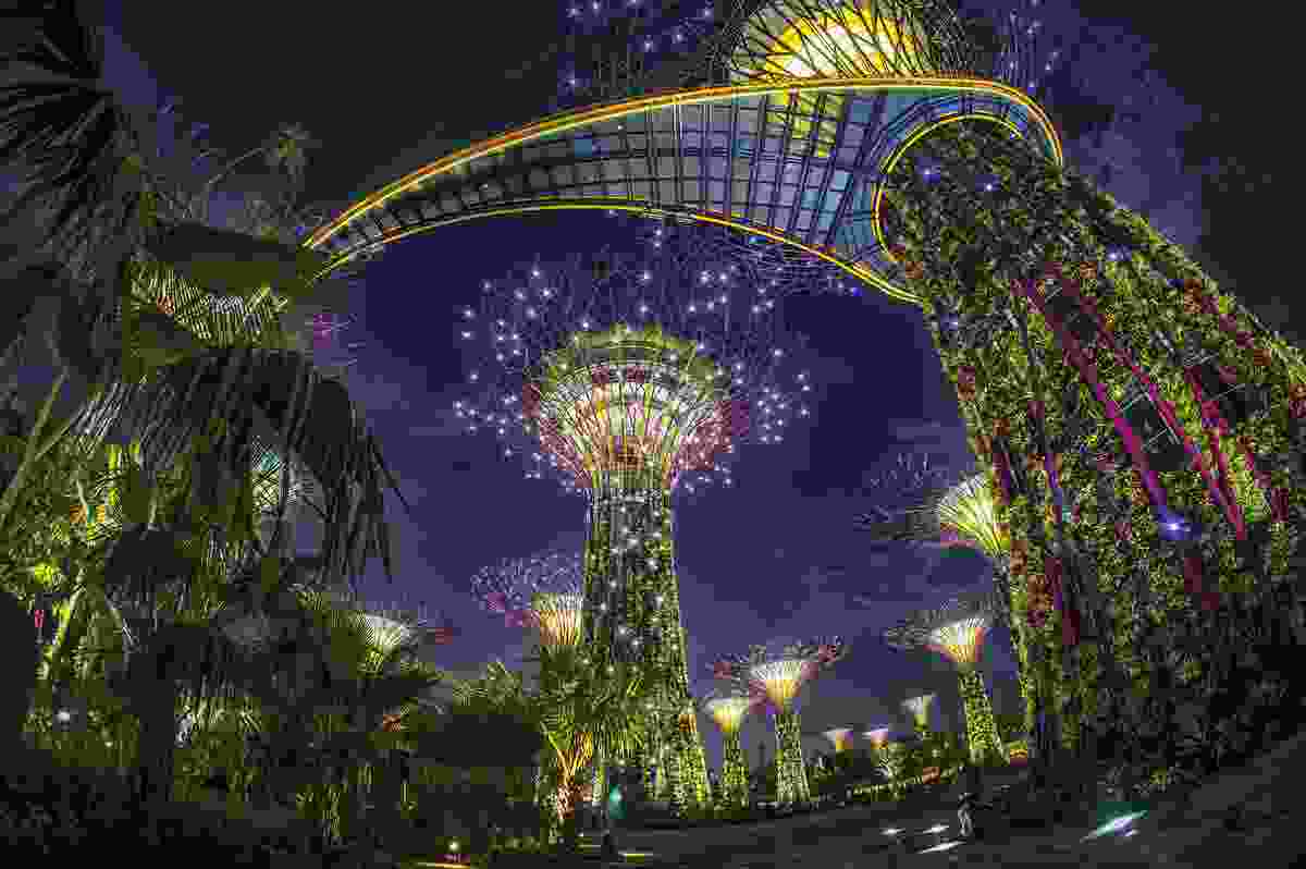 The eighteen “Supertree” structures at Gardens by the Bay measure up to fifty metres in height and have thousands of plant species growing up their vein-like cladding.