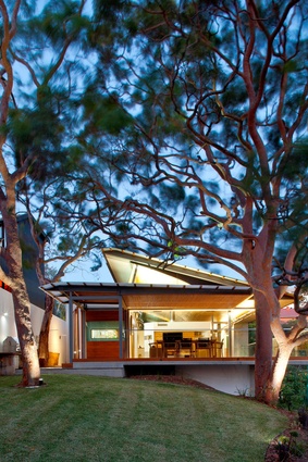 Angophora House by Richard Cole Architecture.
