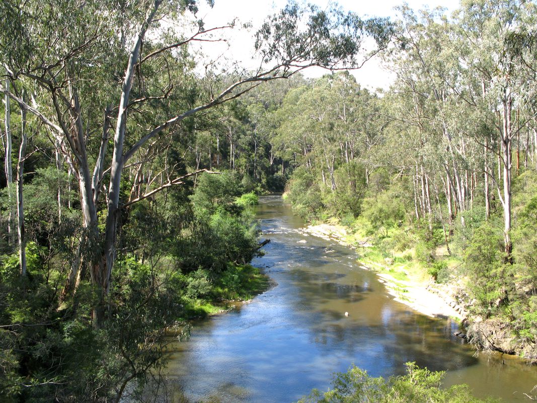 New law finally gives voice to the Yarra River's traditional owners