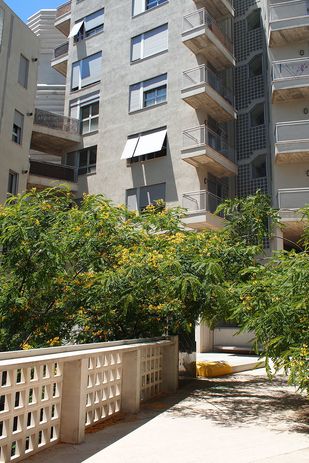 The courtyard of Flores & Prats' Building 111. The acacia trees reach up through the voids from the car park below.