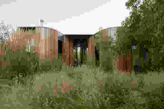The sculptural addition preserves the backyard and entangles the house with native grasses.