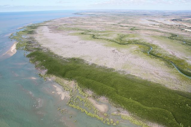 Climate calamity along Australia’s Gulf coast | Landscape Australia