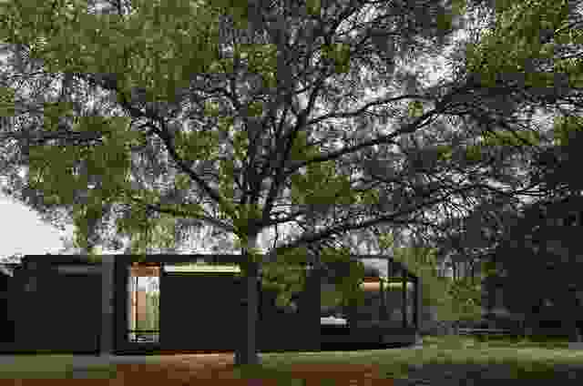 A Pavilion Between Trees by Branch Studio Architects.