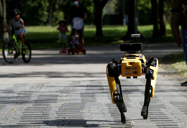 A robot dog called Spot patrols a Singapore park playing a recorded message telling people to observe physical distancing measures.