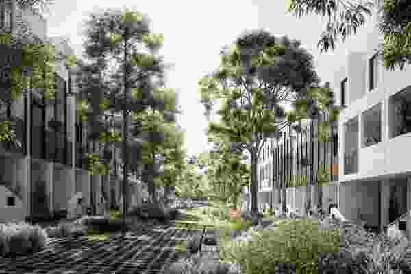 Pedestrian mews connect residents and locals to each other and local ecology