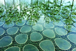 2018 Landscape Australia Conference to explore opportunities of the ‘Asian century’