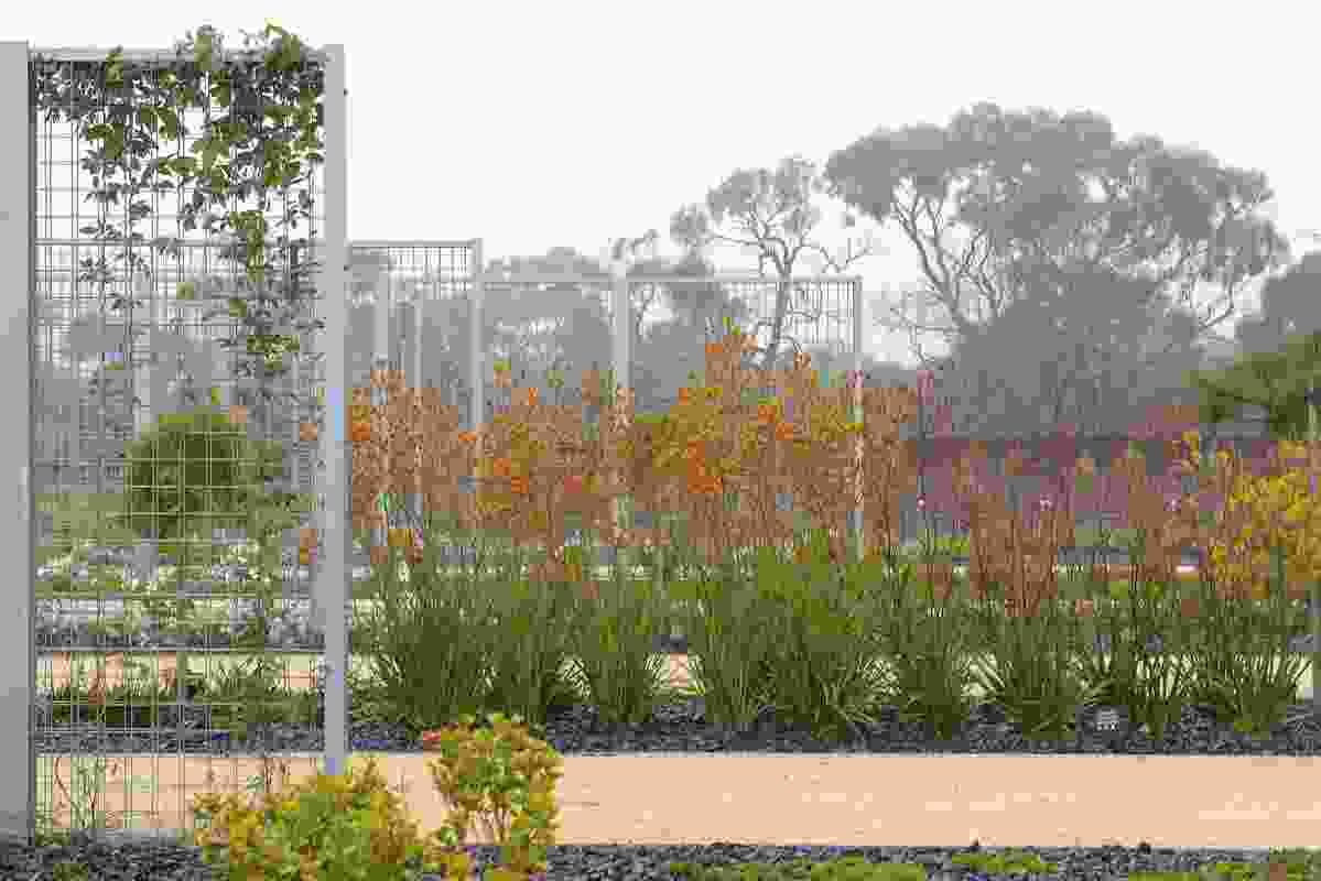 The Cultivar and Research Gardens at the eastern edge of the Australian Garden.