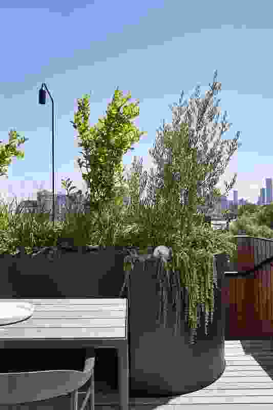 Built into the parapets, the roof garden offers views across Melbourne.