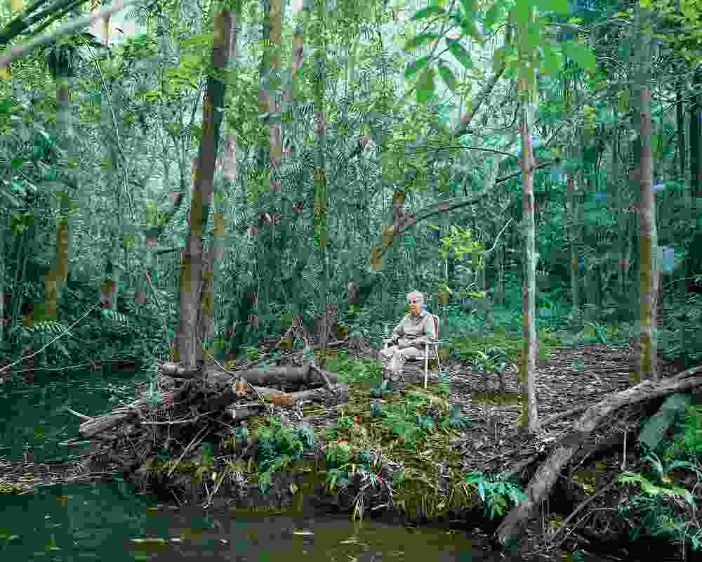 Mum (Ngadjonji Country), 2015. My mother Karen sitting at her favourite location where a rainforest stream pools at Wooroonooran (meaning Black Rock). She and my father have worked for three decades to replant and regenerate 160 acres of previously denuded dairy property in this very high-rainfall zone within an important refugial area where complex tropical rainforest had previously persisted over successive ice ages. Platypi can be seen swimming in the pool early in the morning.