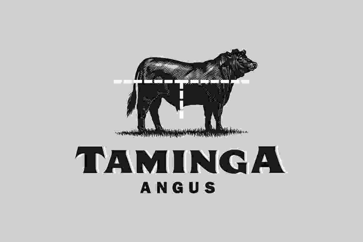 Communication: Taminga Angus by Sector 7G.