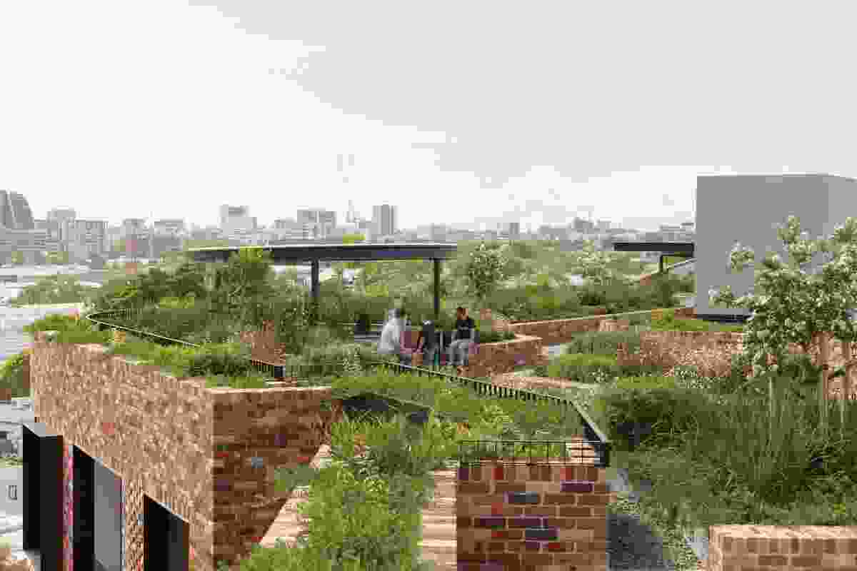 Numerous social spaces have been built into the rooftop, among greenery and a vegetable garden.