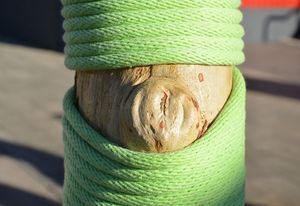 As part of arts festival True North, thirty trees were wrapped in coloured cotton rope.