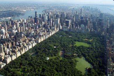 Central Park, New York: “Parks are some of the most powerful urban places we make” — Stuart Harrison.