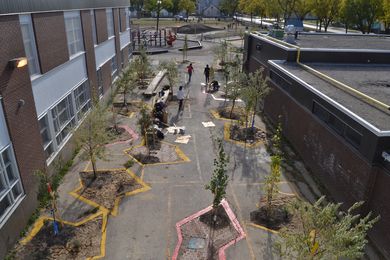 Folly Forest: Straub Thurmayr transformed a sparse asphalt schoolyard in Winnipeg, Canada into a stimulating landscape for children by using low-cost measures that included perforating the asphalt, planting trees and sowing native grasses.