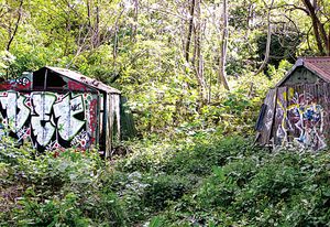 Urban Wildscapes