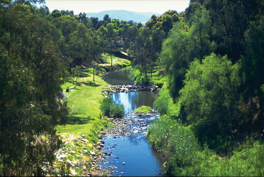 An eastern portion of the River Torrens Linear Park, circa 1990s.