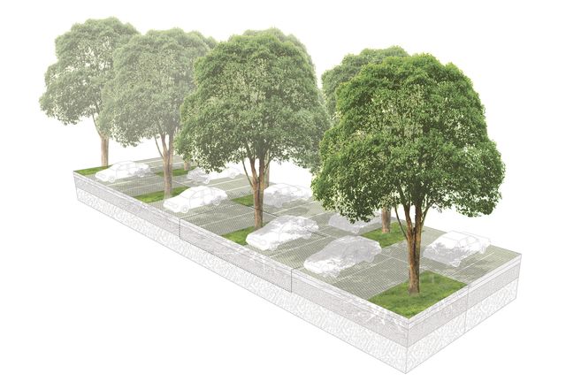 NSW Urban Tree Canopy – Targets and Controls by Gallagher Studio with Studio Zanardo