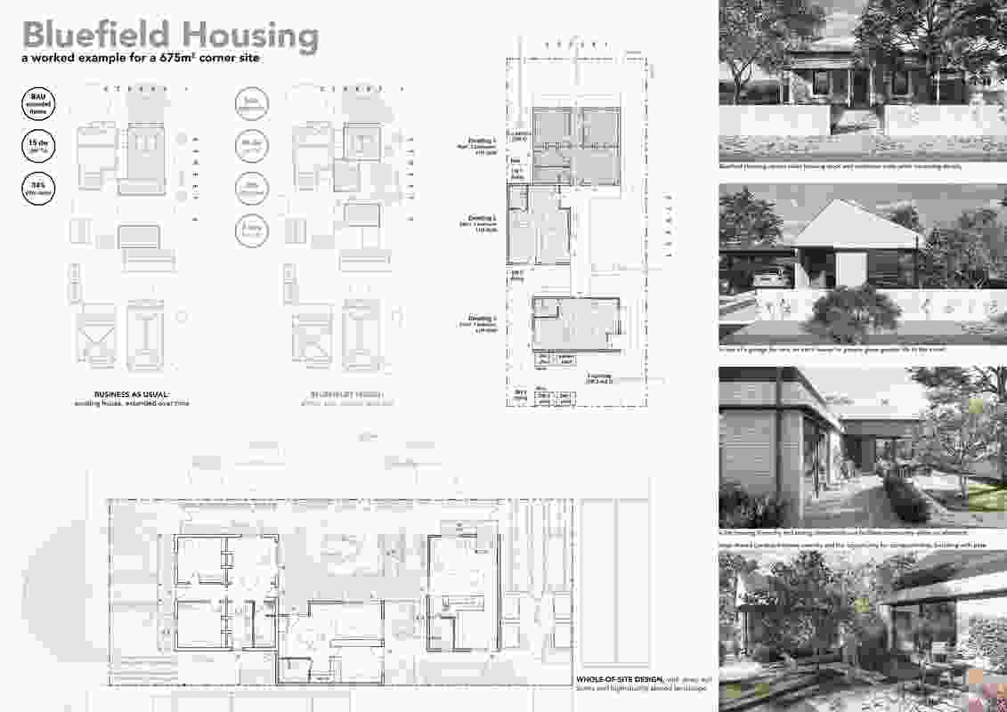 Bluefield Housing by Damian Madigan, University of South Australia.