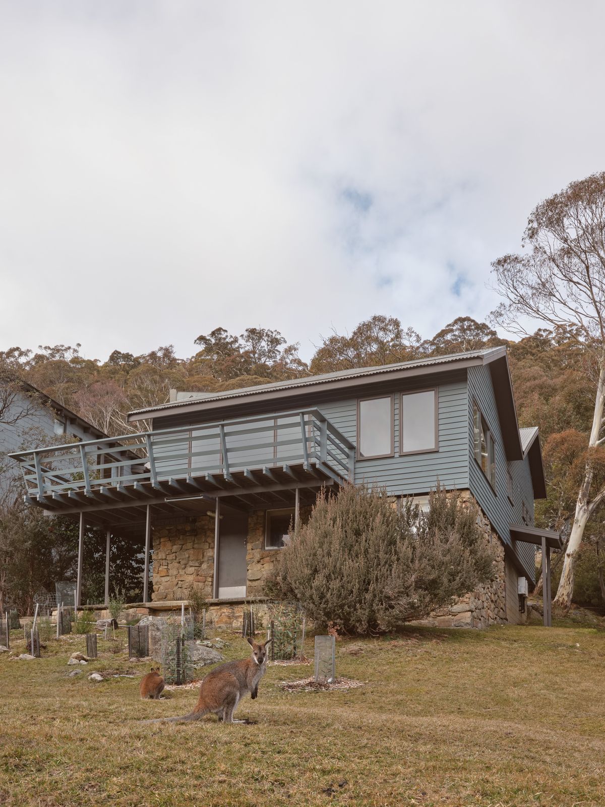 Neewalla by Complete Thought Studio | ArchitectureAu