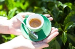 Urban Coffee Farm and Brew Bar