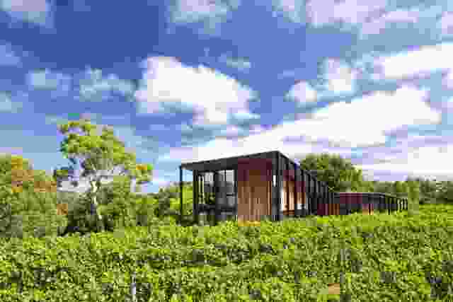 The house is set within a vineyard.