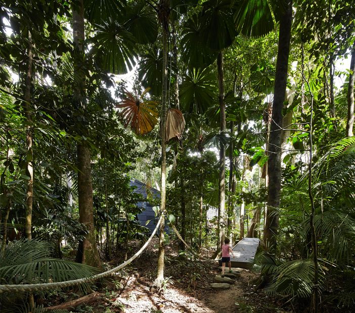 Rainforest journey: Cape Tribulation House | ArchitectureAU