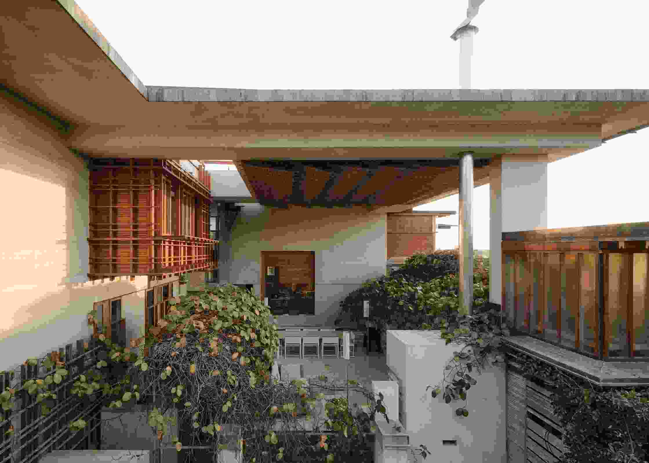 Gallery image with a fresh perspective