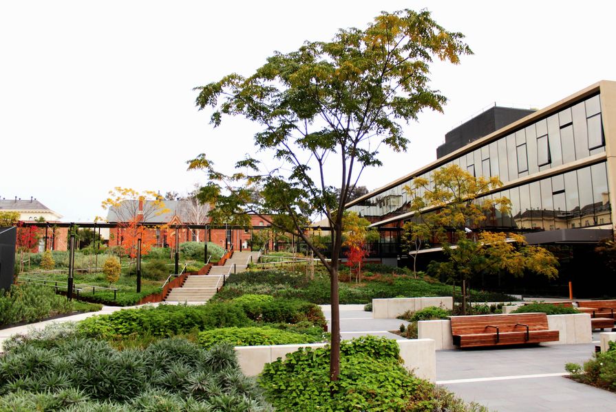 Bendigo Hospital Project by Oculus Landscape Architecture and Urban Design won the Award of Excellence in the Civic Landscape category.