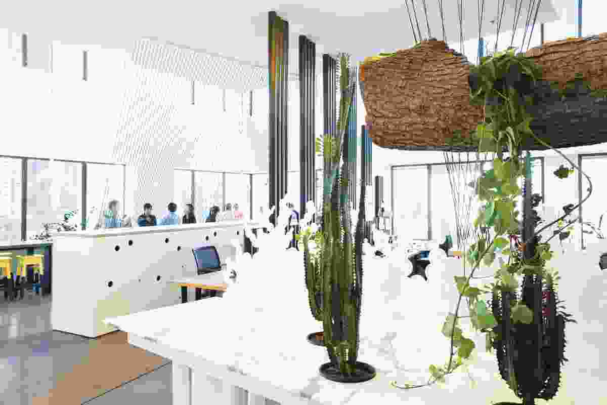 A log used as a hanging planter and suspended from the ceiling of this fitout for creative agency AFJ Partnership adds an element of surprise.