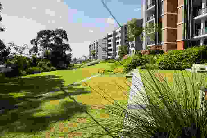 Putney Hill Development by Environmental Partnership won a Landscape Architecture Award in the Urban Design category of the 2021 AILA NSW Landscape Architecture Awards