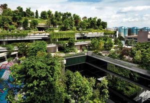 The planting scheme of the Kampung Admirality was designed by Ramboll Studio Dreiseitl. Plants overflow from each level, creating a community park for the 11 housing blocks.