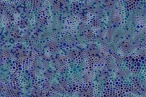 Royal Thai and Zaha Hadid Design launch carpet collection