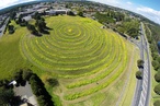Seeds of Change: Get Sunflowered