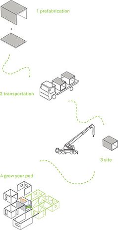 Flow diagram: prefabrication, transport, site, growing the pod.