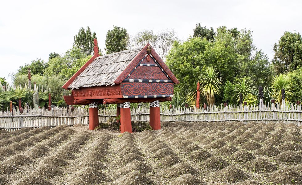 Australian Garden History Society seeking papers for 2017 conference | Landscape Australia