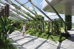 Lady Cilento Children’s Hospital landscapes