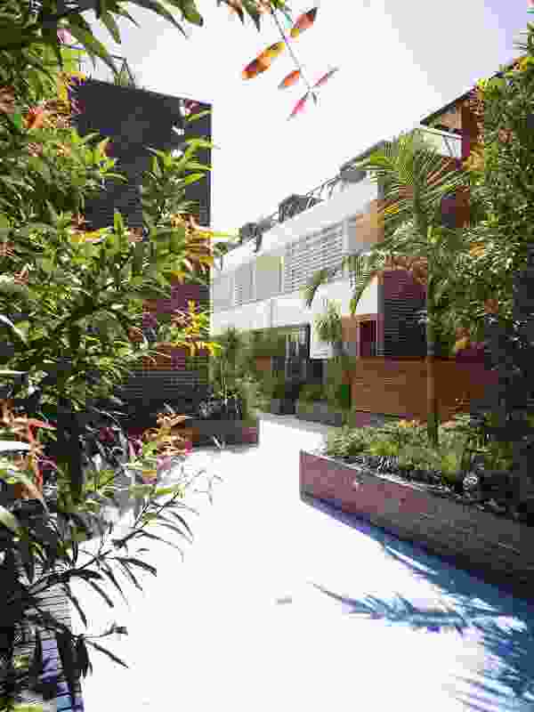 Randwick Townhouses, Sydney, NSW, 2009: Optimizing opportunities for light, air, space and views.